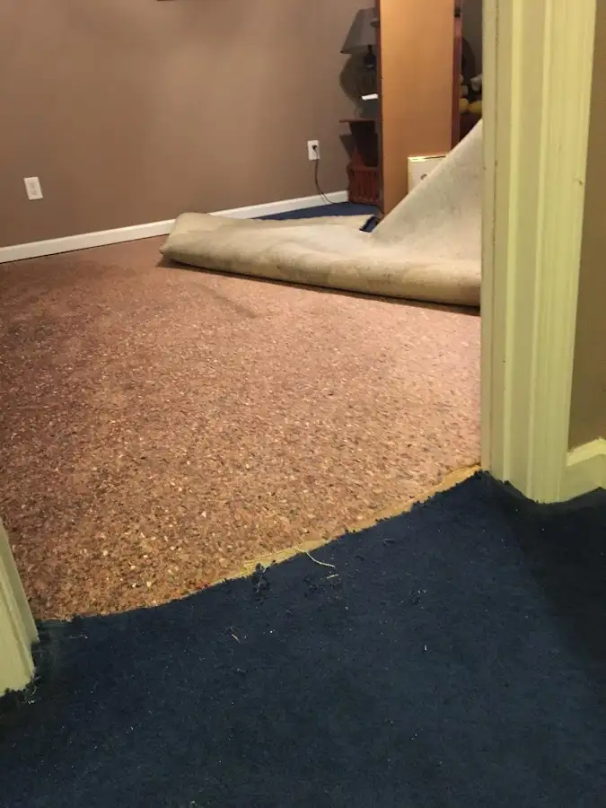 Carpet pad removal revealing water damage during Drying & Dehumidification in The Colony