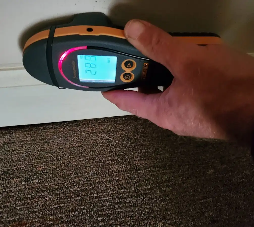 Moisture detection at baseboard during Sewage Cleanup & Sanitation in The Colony