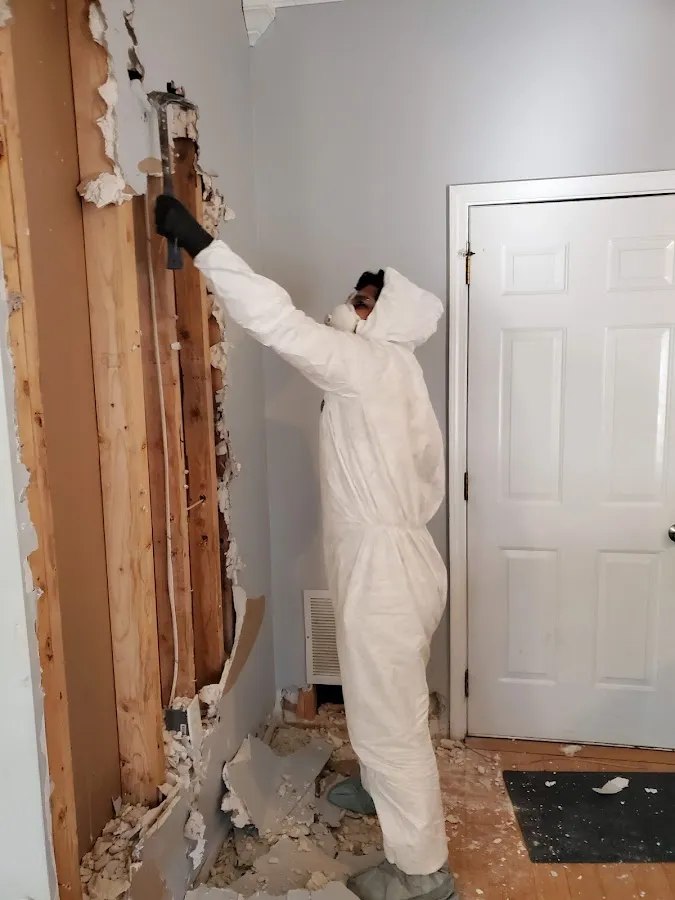 Water Damage Restoration services in The Colony, TX